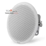Loa âm trần IP inter-M IP-1015CS