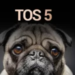 hệ điều hành terramaster tos 5