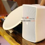 Loa âm trần IP inter-M IP-1015CS