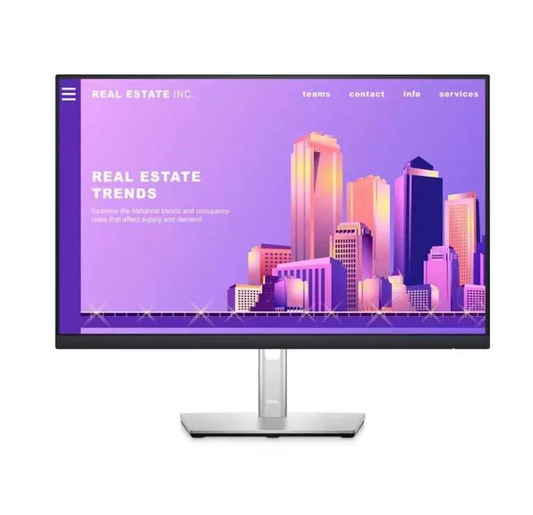 Màn hình Dell 23.8 inch FHD P2422H