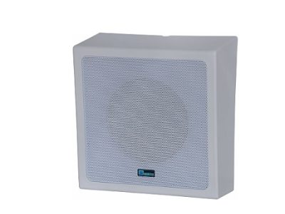 6.5-inch 6W Wall-mount Speaker YUNYANG YSP-616A