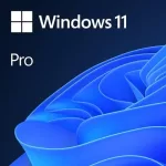 Windows Pro 11 64Bit Eng Intl 1pk DSP OEI DVD