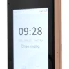 Máy chấm công khuôn mặt RONALD JACK FA3000