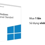 Windows 11 Home 64Bit Eng Intl 1pk DSP OEI DVD