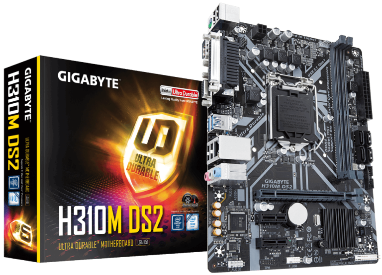 Mainboard Gigabyte H310M-DS2