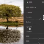 Lightroom w Classic for teams ALL Multiple Platforms Multi Asian Languages Subscription New 12 Months