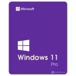 Windows Pro 11 64Bit Eng Intl 1pk DSP OEI DVD