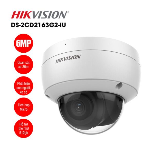 HIKVISION DS-2CD2163G2-IU