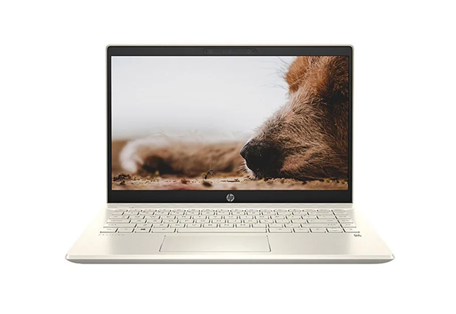 Laptop HP Pavilion 15-EG1037TU i5- 1155G7/ 8GD4/ 512GB SSD/ 15.6" FHD/ WIN11 SL/ Vàng - 5Z9V0PA