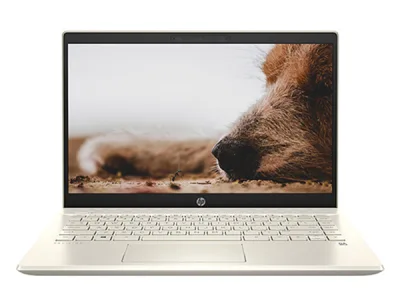 Laptop HP Pavilion 14 DV0008TU i5-1135G7/ 8GB/ 512GB SSD/ 14" FHD/ WIN10 - 2D7A5PA