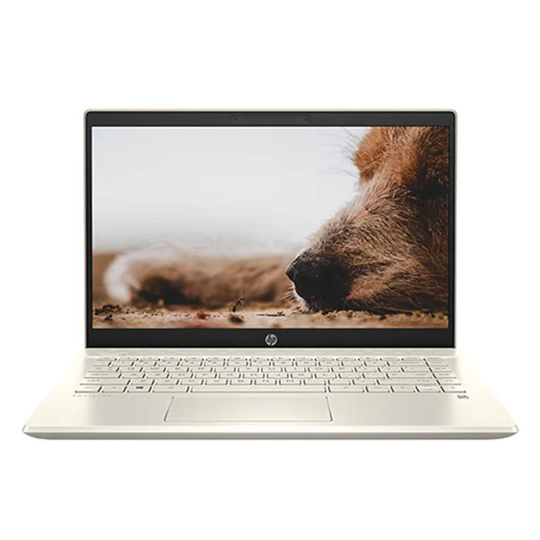 Laptop HP Pavilion 14 DV0008TU i5-1135G7/ 8GB/ 512GB SSD/ 14" FHD/ WIN10 - 2D7A5PA
