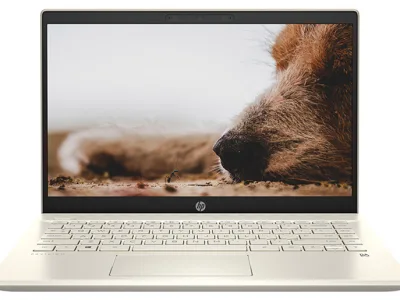 Laptop HP Pavilion 14-DV0536TU i5-1135G7/ 8GB RAM/ 256GB SSD/ 14" FHD/ WIN11 HOME 64/ Natural Silver - 4P5G5PA