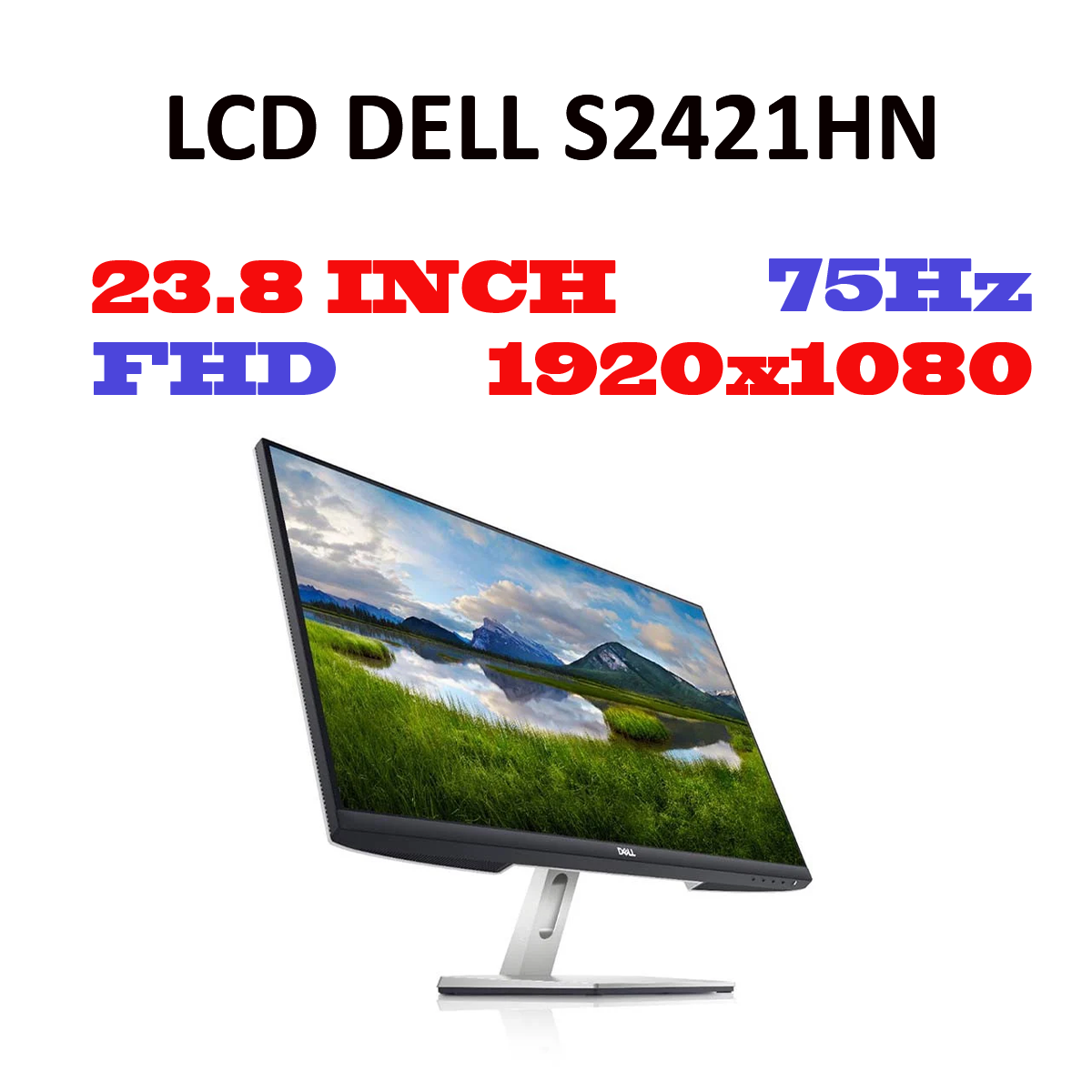 Màn hình Dell S2421HN 23.8' Wide LED (1920 x 1080 | IPS | 75Hz | 4 ms ...
