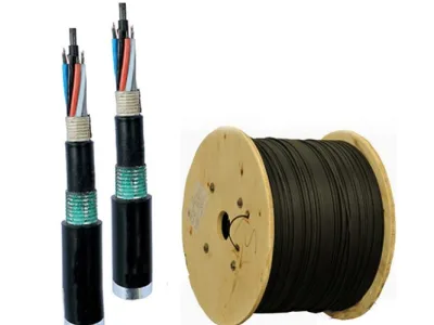 Cáp quang LS Outdoor 24 cores Singlemode (LT-DJBGEXX/BRN SE24XX(06T1.80))