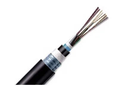 Cáp quang LS Outdoor Multimode 8 cores (LT-DJBGSEX/BRN MX8XXX(06T2.00))