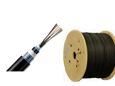 Cáp quang LS Outdoor Multimode 24 cores (LT-DJBGSEX/BRN M424XX(06T2.00))