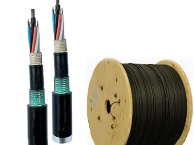 Cáp quang LS Outdoor 8 cores Singlemode (LT-DJBGEXX/BRN SE8XXX(06T1.80))