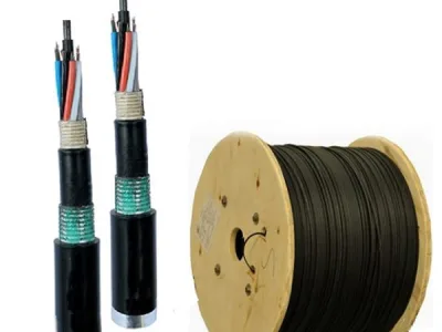 Cáp quang LS Outdoor MM OM2 72 cores (LT-DJBGEXX/BRN MG72XX(12T2.30))