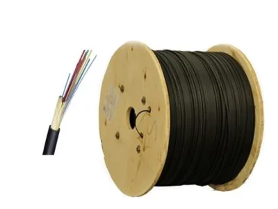 Cáp quang LS Outdoor Multimode 48 cores (LT-DJBGEXX/BRN MX48XX(12T2.30))