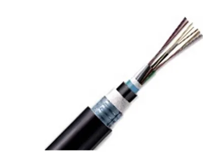 Cáp quang LS Outdoor Multimode 12 cores LT-DJBGSEX/BRN MX12XX(06T2.00)