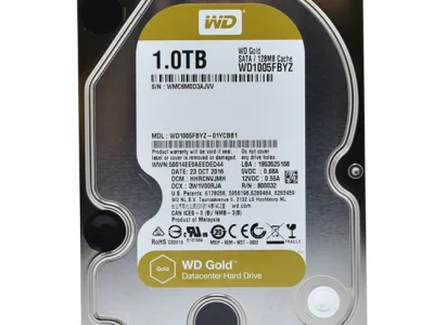 Western 1TB Gold WD1005FBYZ