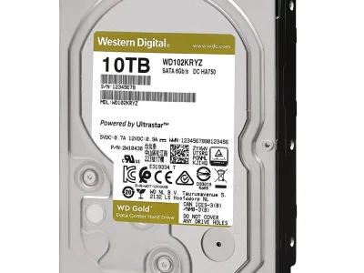 Western 10TB Gold WD102KRYZ