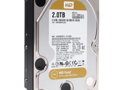 Western 2TB Gold WD2005FBYZ