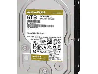 Western 6TB Gold WD6003FRYZ
