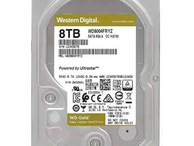 Western 8TB Gold WD8004FRYZ