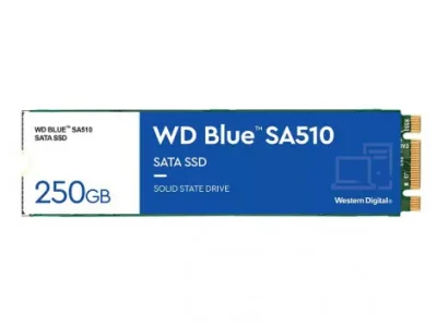 Ổ cứng gắn trong SSD 250GB 2.5 inch M2 2280 SATA SA510 Western Digital WDS250G3B0B