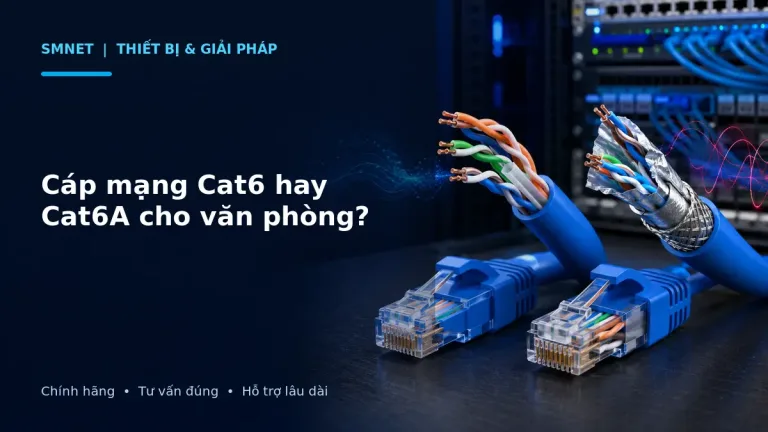 So sánh cấu tạo và ứng dụng cáp mạng Cat6 và Cat6A trong văn phòng