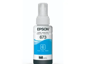 Mực in Epson T673 C13T673200