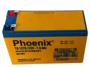 Ắc quy 12V-7.5Ah Phoenix TS1275